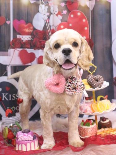 20250209たいようくん